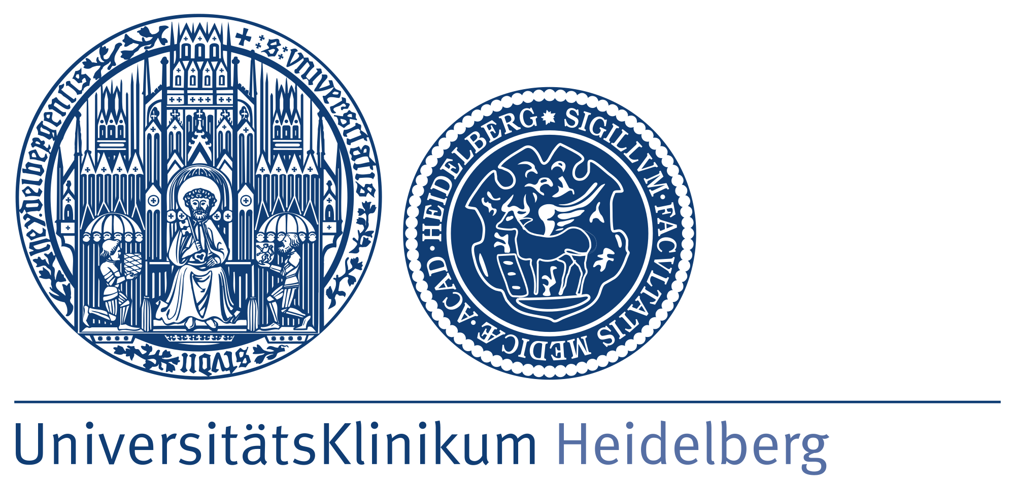 Logo des Uniklinikum Heidelberg